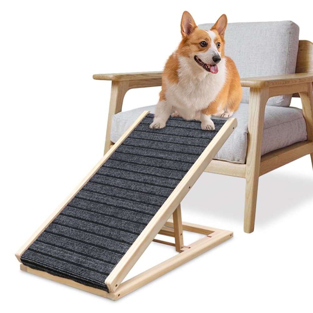 Pet Straight Ladder